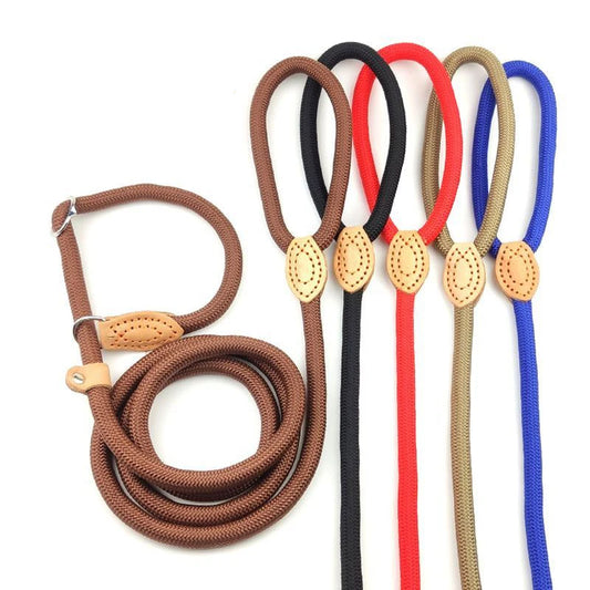 Dog Leash Slip Lead - Durable Nylon